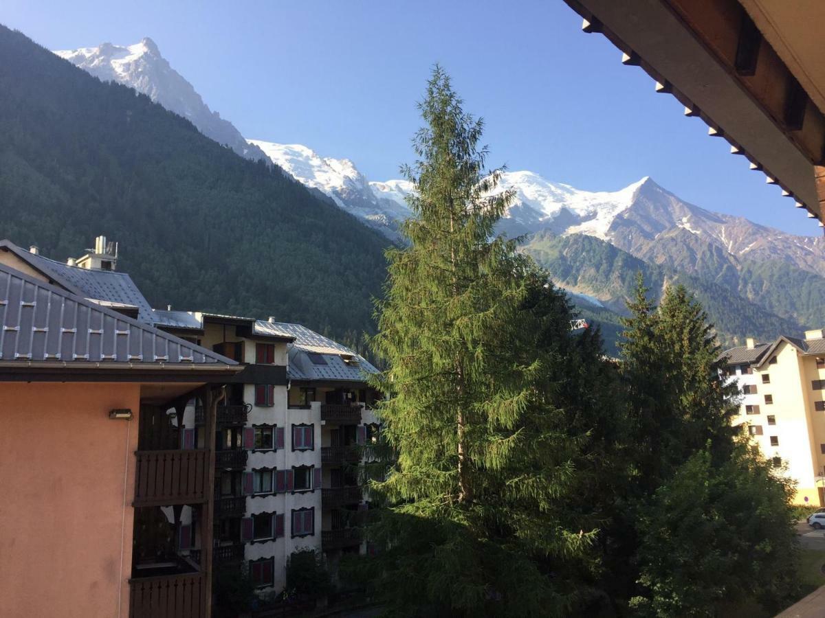 Studio Chamonix Centre With Mont-Blanc View Appartamento Esterno foto